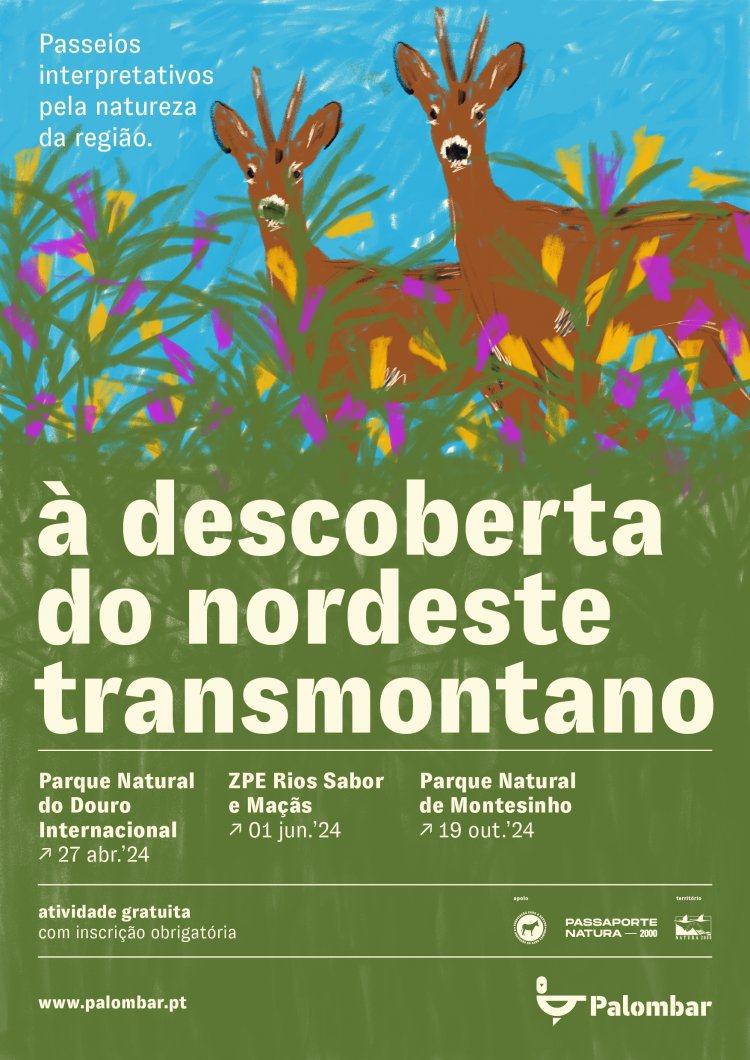 Ciclo à Descoberta do Nordeste Transmontano - Parque Natural do Douro Internacional 