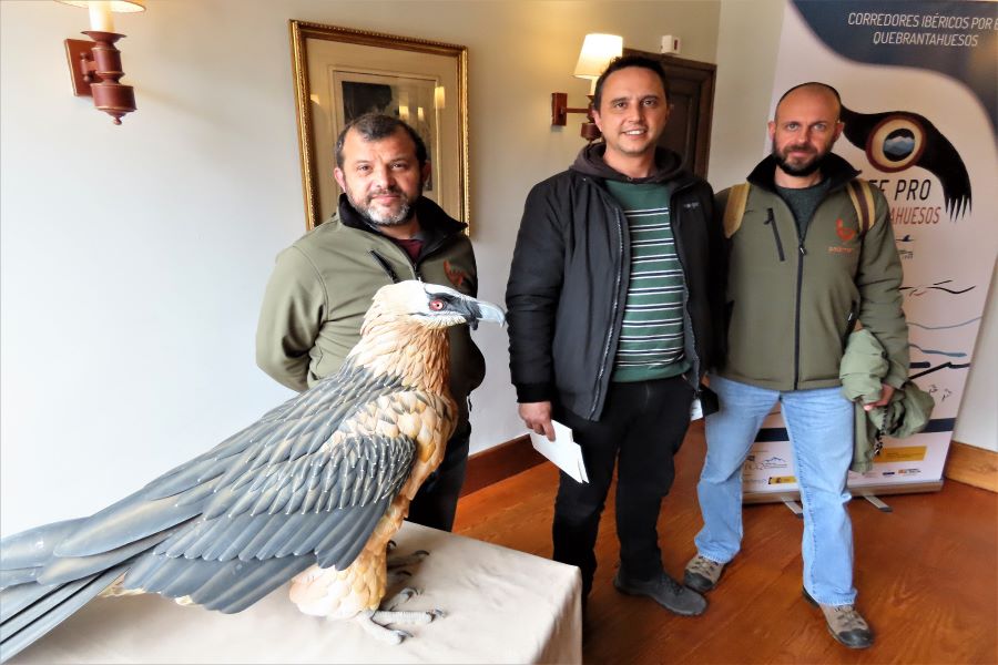 Palombar participa no evento de apresenta��o do projeto LIFE PRO Quebrantahuesos em Espanha
