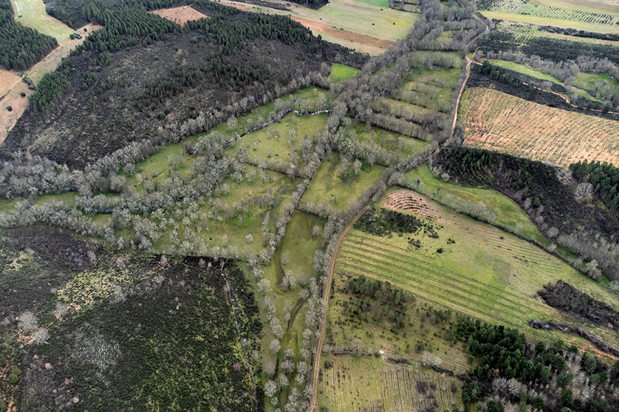 Projeto REGiMont vai criar rede colaborativa para promover regeneração da paisagem de montanha