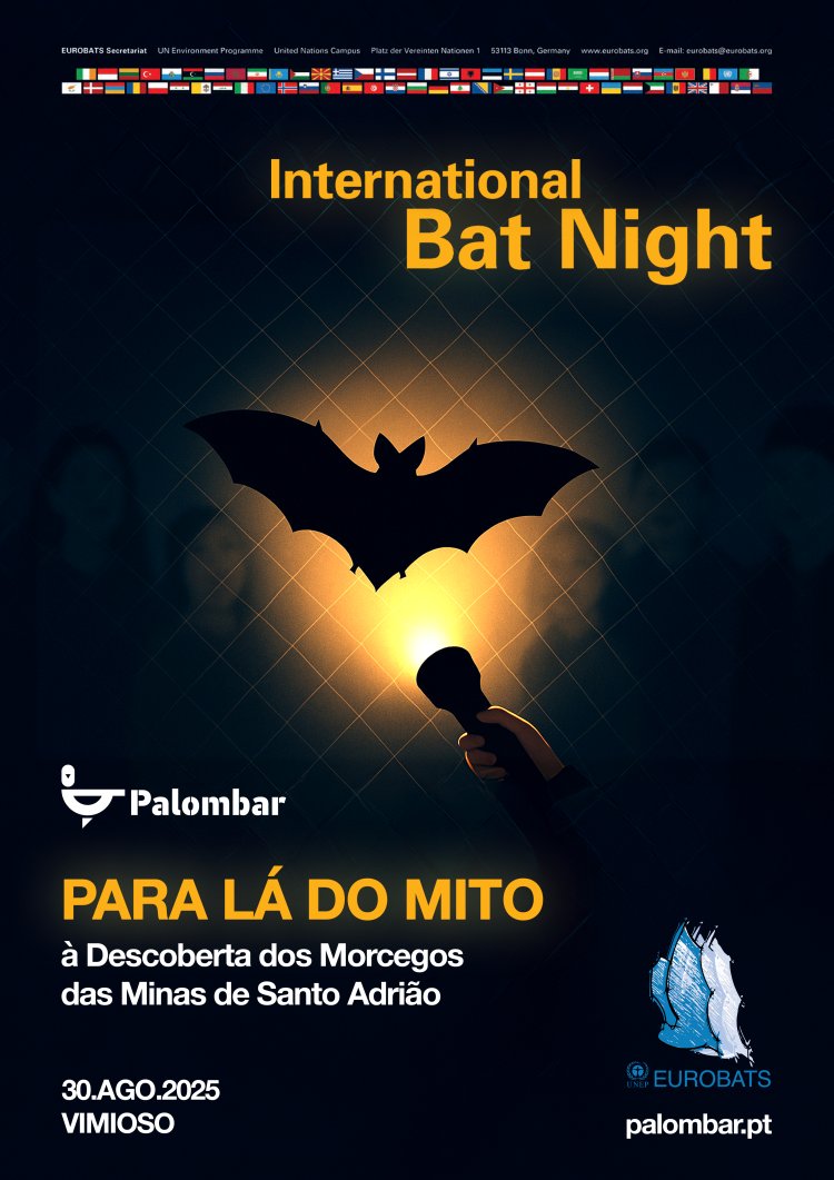 NOITE INTERNACIONAL DOS MORCEGOS 2025 - Para lá do mito