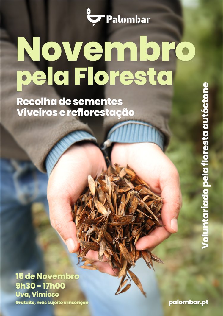 NOVEMBRO PELA FLORESTA
