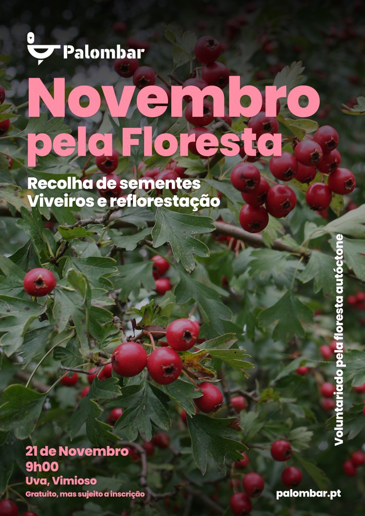 NOVEMBRO PELA FLORESTA