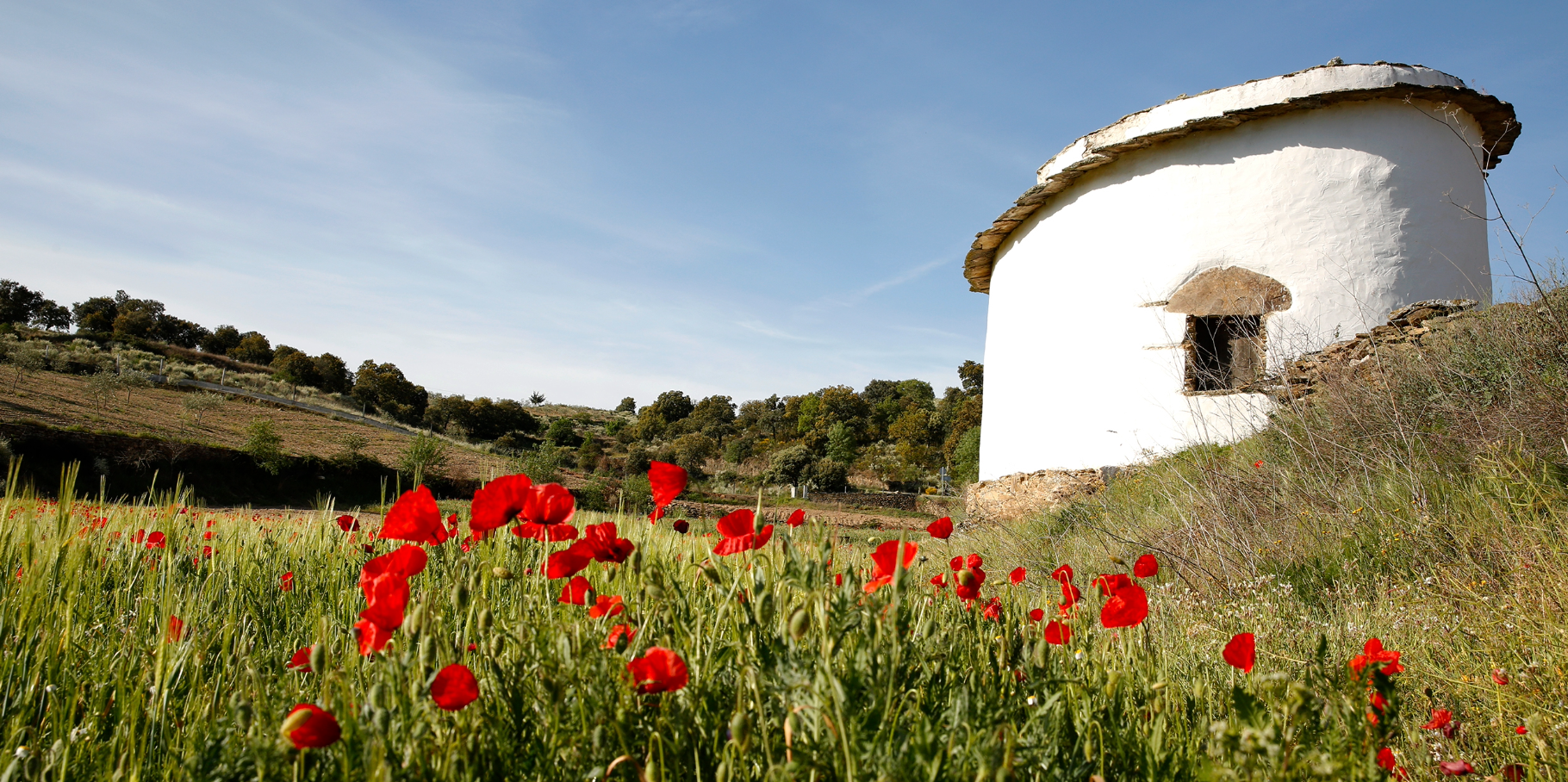 TRADITIONAL DOVECOTES