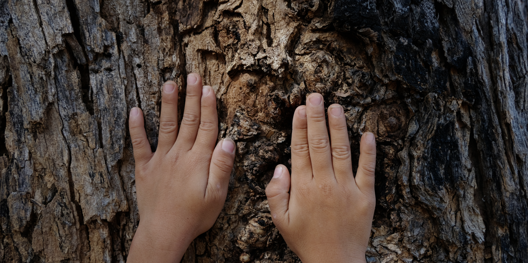 ENVIRONMENTAL AWARENESS AND EDUCATION 