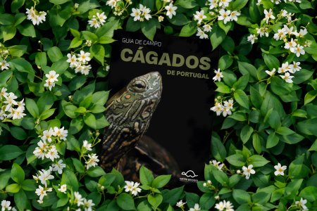 Palombar publishes the first field guide to Portugal’s pond turtles