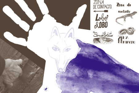 Zona de Contacto: a revista coletiva que põe todos a refletir e reinventar a convivência multiespécies