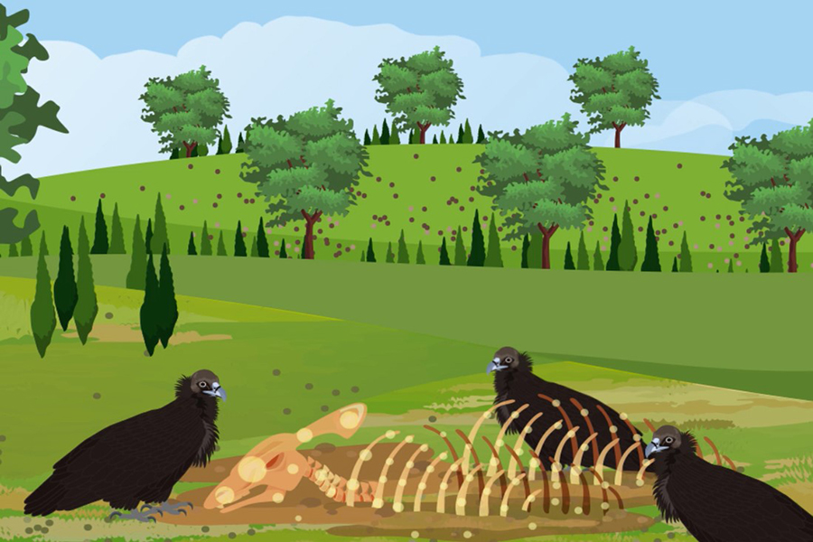 Abutre-preto: novo v�deo alerta para amea�as e aponta caminho para a recupera��o