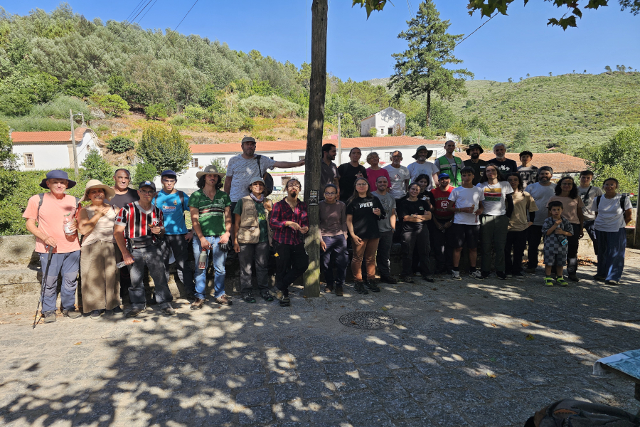 Campo de Trabalho Científico do projeto SerE+ mobilizou voluntários para controlar plantas invasoras na Serra da Estrela
