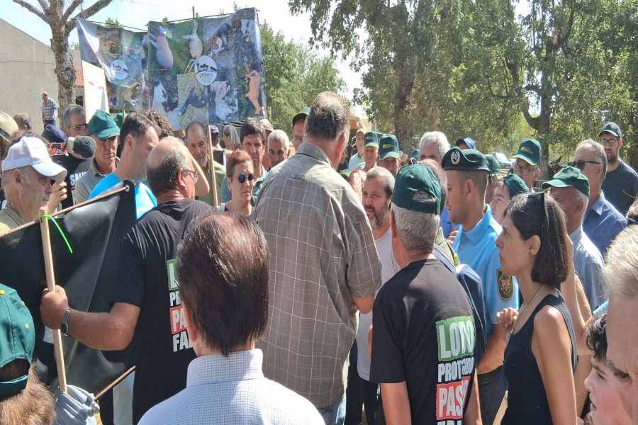 Criadores de gado do Planalto Mirandês manifestam-se contra o Governo devido a ataques de lobos, mas o alvo foi a Palombar