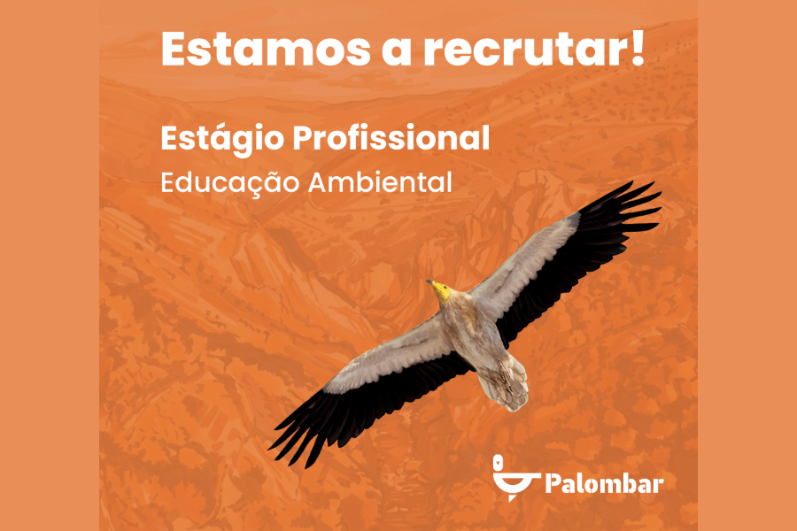 Estamos a recrutar: estágio profissional em Educação Ambiental