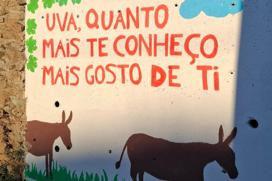 Férias em Uva uniu gerações para descobrir a aldeia, reviver o passado e projetar o futuro