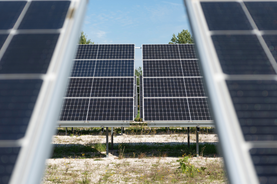 Projeto fotovoltaico na Serra do Marão tem parecer desfavorável após avaliação de consulta pública com participação da Palombar
