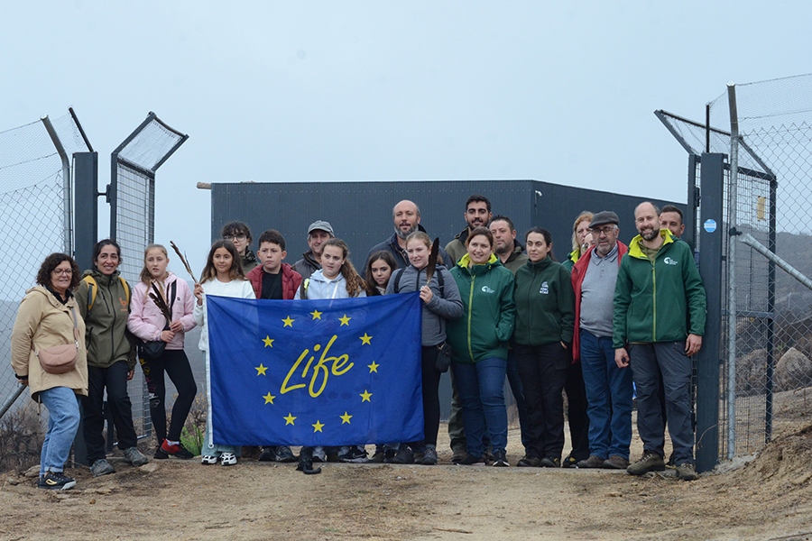 Projeto LIFE Aegypius Return devolve seis abutres-pretos à natureza no Douro Internacional