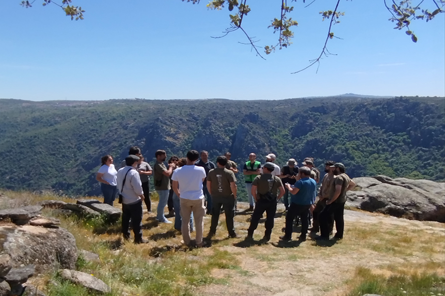 The LIFE Aegypius Return project enters its final phase, having already achieved significant milestones