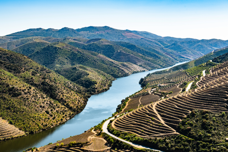Projeto OET Durius: Palombar contribui com modelação de dados fundamentais para o Observatório Ecológico Transfronteiriço do Douro