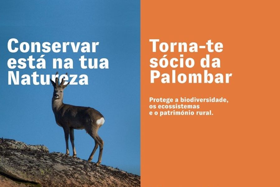 Torna-te sócio/a da Palombar: Conservar estį na tua Natureza!