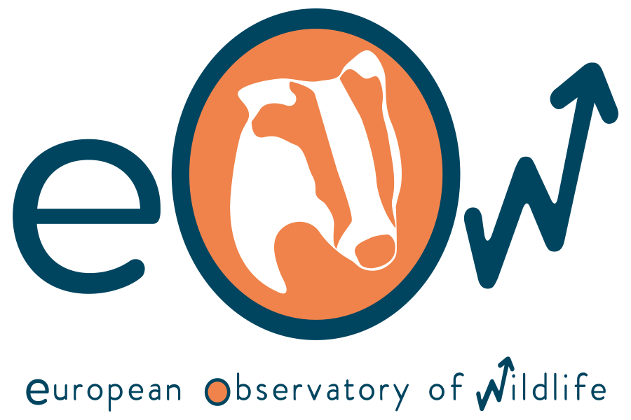 Observatório Europeu de Fauna Silvestre