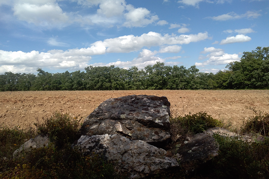 Soil@INT - Solos do interior